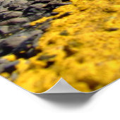 Duidelijke weg poster (Hoek)