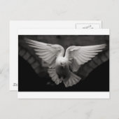 duif briefkaart (Voorkant / Achterkant)