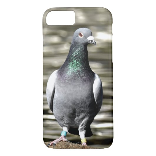 duif Case-Mate iPhone case (Achterkant)