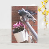 Duif en bloemen groeten kaart (Gele Bloem)