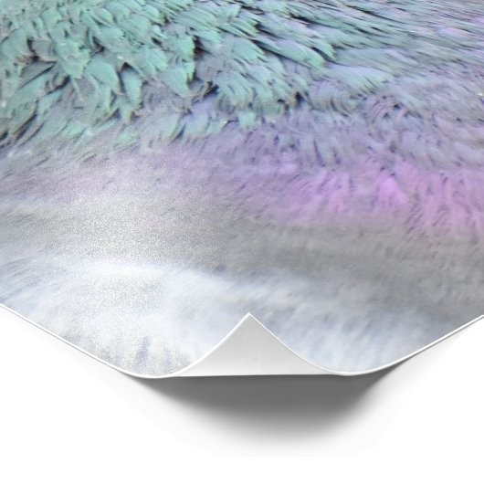 duif foto afdruk (Hoek)