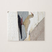 duif legpuzzel (Horizontaal)