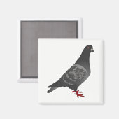 duif magneet (Voorkant / Achterkant)