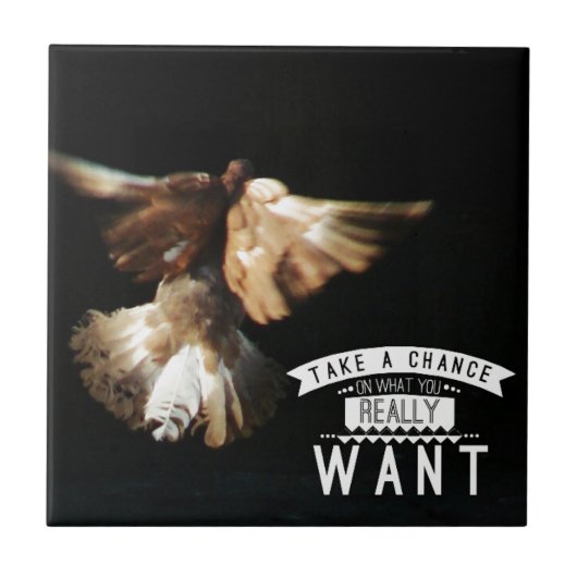 Duif Neem Een Kans Tegeltje (Voorkant)