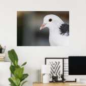 duif poster (Thuiskantoor)