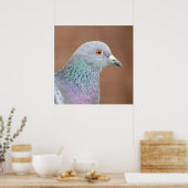  duif poster (Keuken)