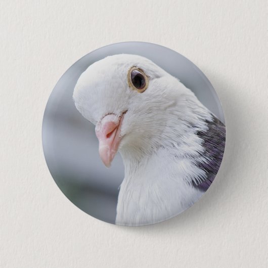 duif ronde button 5,7 cm (Voorkant)