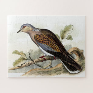Duif Streptopelia Schilderij Natuur Vogels Kunst Legpuzzel