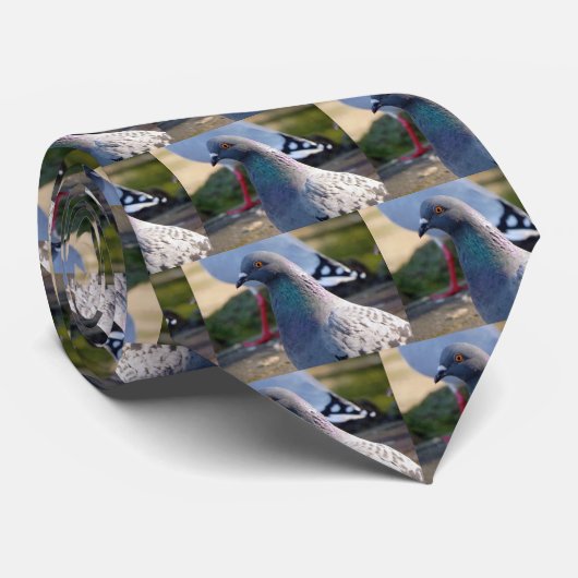 duif stropdas (Opgerold)