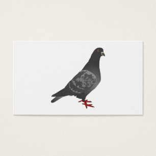 Duif Visitekaartjes