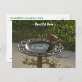 Duif vogelbad rust Spiegeland Briefkaart (Voorkant / Achterkant)