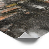 Duif Zit Op Gescheurde Muur Met Branch Poster (Hoek)