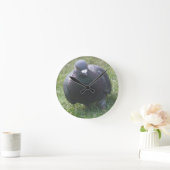 Duifduikkurk Ronde Klok (Huis)