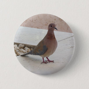 Duifknop Ronde Button 5,7 Cm
