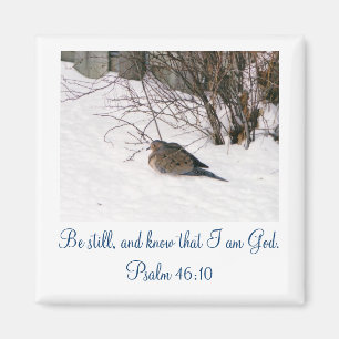 Duik in de Sneeuw Scipture Magnet Magneet