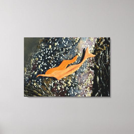 duiken zeemeermin verpakt canvas afdruk (Voorkant)