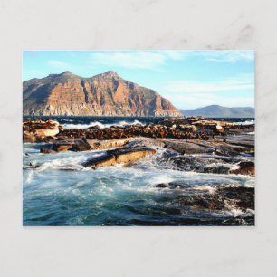 Duiker Island, Briefkaart Zuid-Afrika