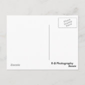 duiker onder blauwe kaart (Achterkant)