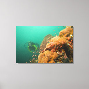 duiker & Schorpioenvis Scorpanopsis Canvas Afdruk