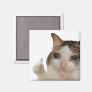 Duimen omhoog OK Cat meme magneet