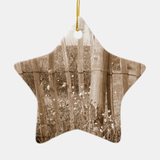 duin keramisch ornament (Voorkant)