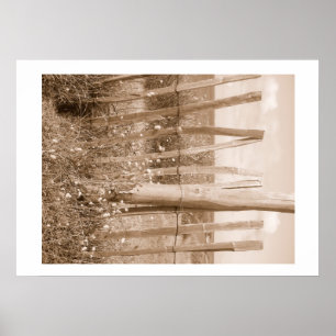 duin poster