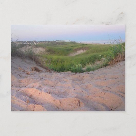 Duinen in Montauk Briefkaart (Voorkant)