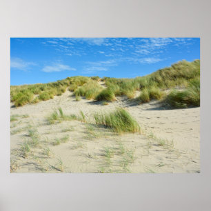 Duinen Magie   -     - Acrylprint Poster