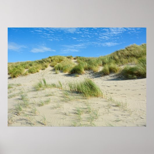 Duinen Magie - - Acrylprint Poster (Voorkant)