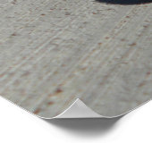 duinen sage penseelhagedis poster (Hoek)