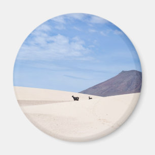 Duinen van Corralejo, Fuerteventura, Canarische ei Magneet