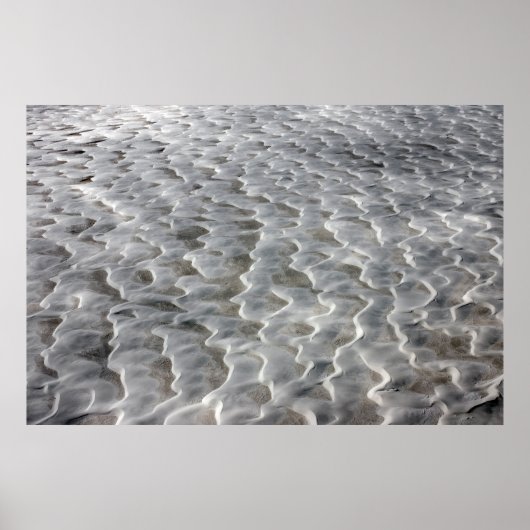 Duinen van het Witte Zand Poster (Voorkant)