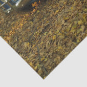 duits autotissuepapier tissuepapier (Detail)