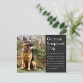 Duits Briefkaart Shepherd (Staand voorkant)