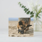 Duits Briefkaart Shepherd (Staand voorkant)