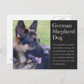 Duits Briefkaart Shepherd (Voorkant / Achterkant)