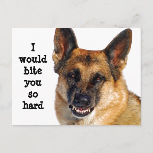 Duits Briefkaart Shepherd (Voorkant)