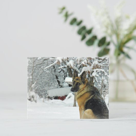 Duits Briefkaart Shepherd (Staand voorkant)