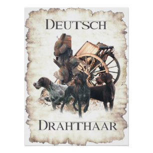Duits Draadharige Pointer Sockel Bord Bad Handdoek Perfect Poster