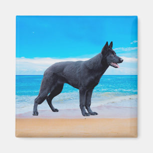 Duits herder hond strand portret magneet