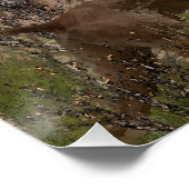 Duits korthaired pointer , kurzhaar tapestry ca perfect poster (Hoek)