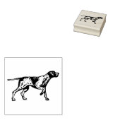 Duits kortharig pointer Hondenras Rubberstempel (Gestempeld)