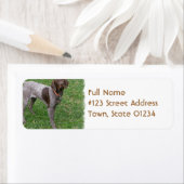 Duits kortharig pointer mailing label (Insitu)