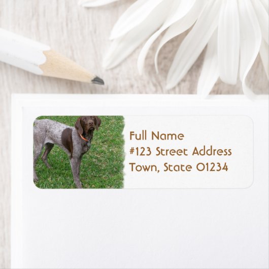 Duits kortharig pointer mailing label (Insitu)