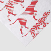 DUITS KORTHARIG POINTER - tissuepapier - SAP (Detail)