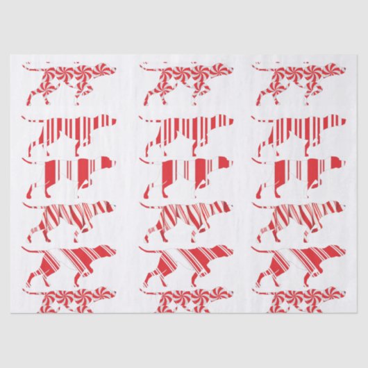 DUITS KORTHARIG POINTER - tissuepapier - SAP (Voorkant)