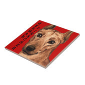 Duits Pinscher Color Block Tegeltje (Zijkant)