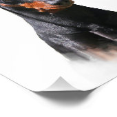 Duits Pinscher Foto Afdruk (Hoek)