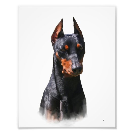 Duits Pinscher Foto Afdruk (Voorkant)