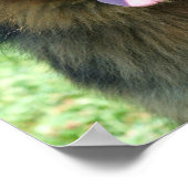 Duits poster Shepherd (Hoek)